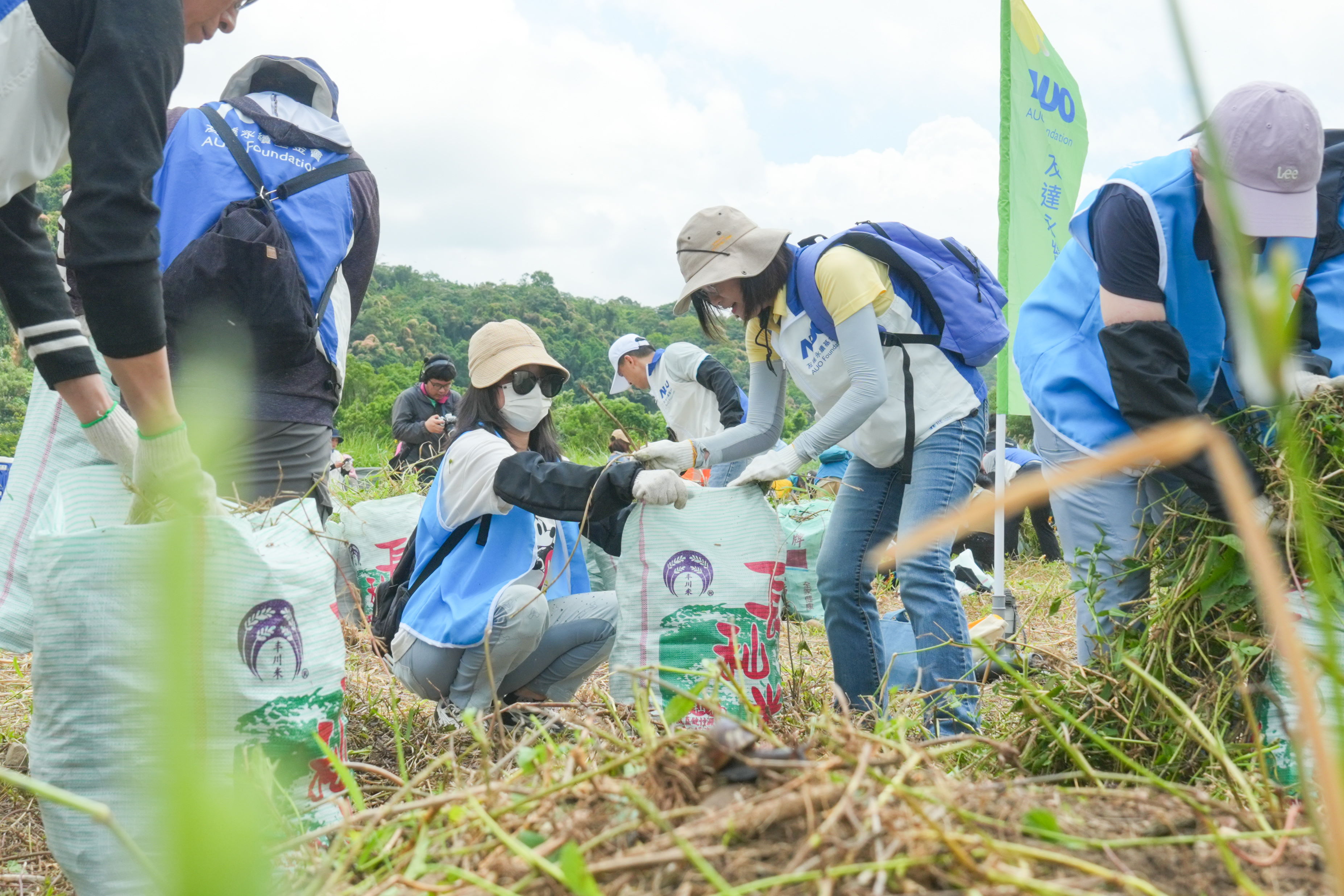 米兰·(milan)除蔓防治計畫，除了鎖定霄裡溪沿岸3.2公里移除外來入侵種小花蔓澤蘭，並進行物種與空拍調查，共記錄91科181屬239種維管束植物，顯示該區域具高度生態價值